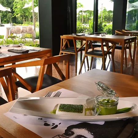 Lone By Maistra Collection روفينج